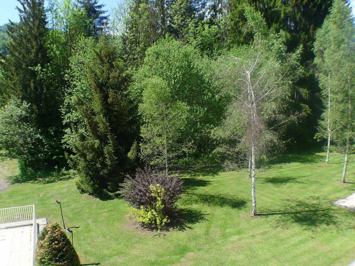 Studio Mansarde Avec Balcon, Piscine Et Parking Souterrain A Samoens - Fr-1-629-92 エクステリア 写真